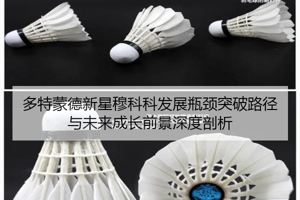 多特蒙德新星穆科科发展瓶颈突破路径与未来成长前景深度剖析
