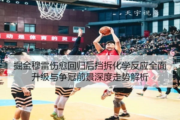 掘金穆雷伤愈回归后挡拆化学反应全面升级与争冠前景深度走势解析